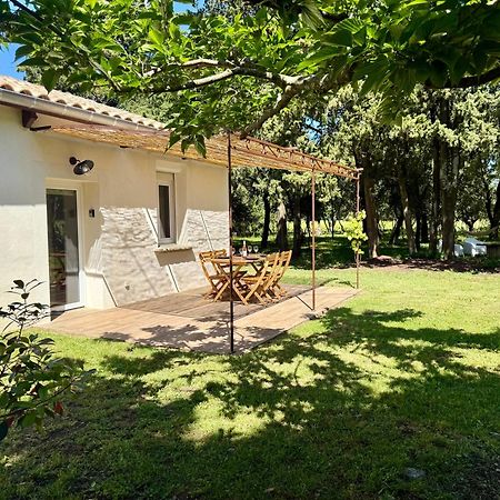 Maisonnette Avec Petite Foret Valreas Bagian luar foto